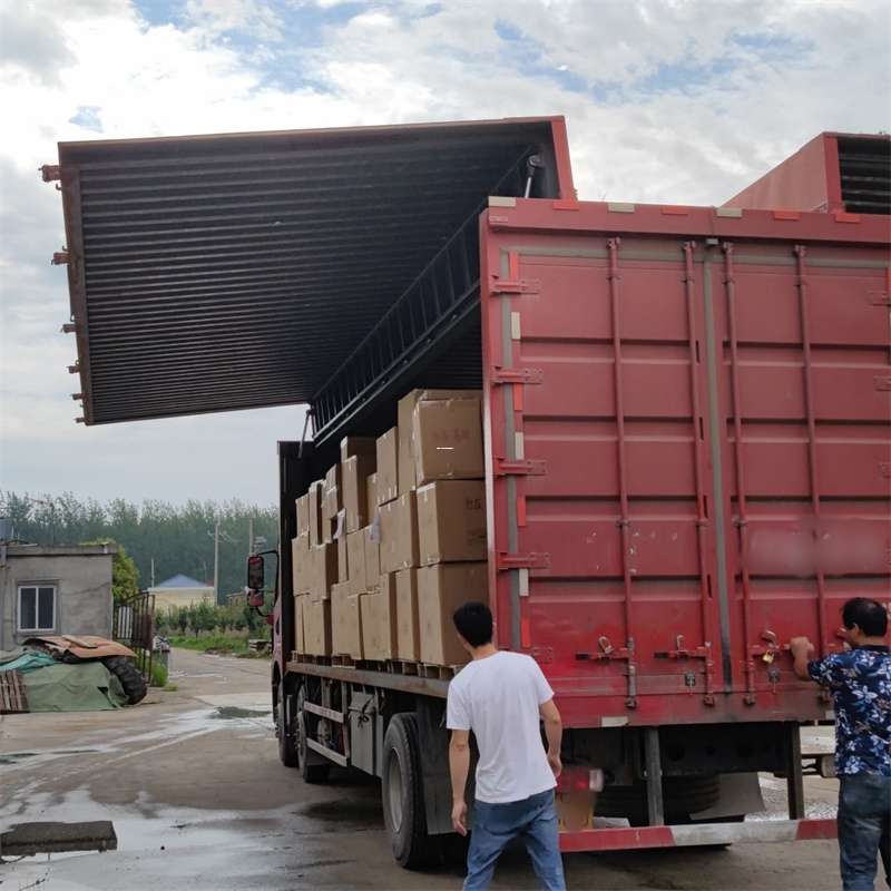 吉阳区扎囊县：物流专线的高效货运之旅