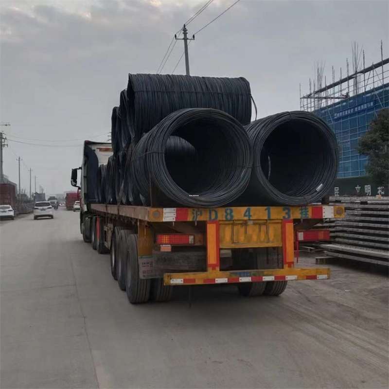 吉阳区丽江市物流运输：多元服务与高效线路探秘